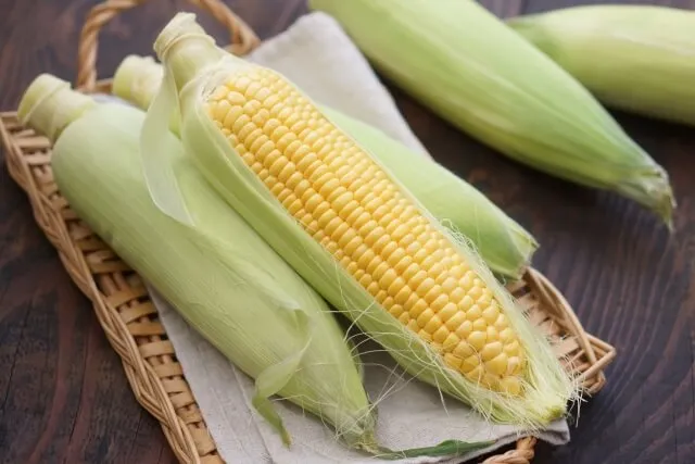 옥수수 콜레스테롤 관리 효능