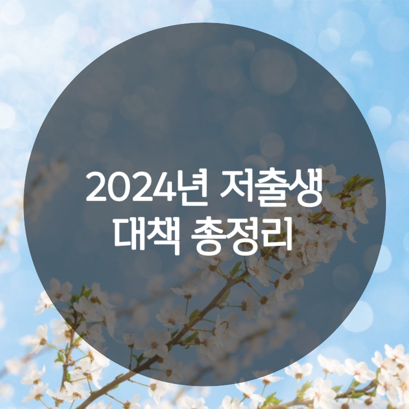 2024년 저출생 대책 총정리 글자 이미지