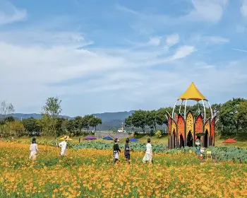 장성 황룡강 가을꽃축제_12