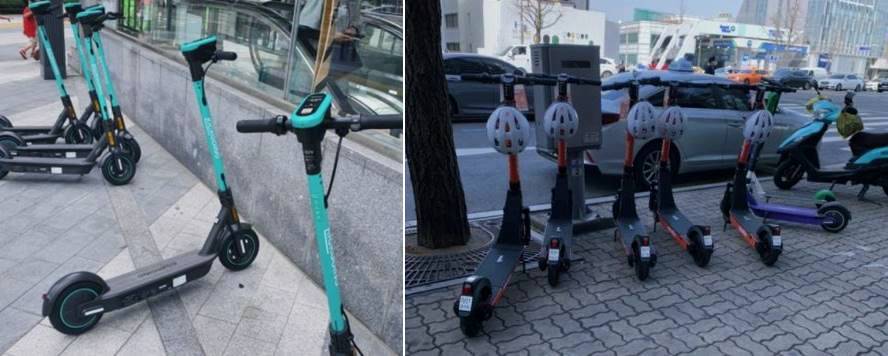 전동킥보드 면허