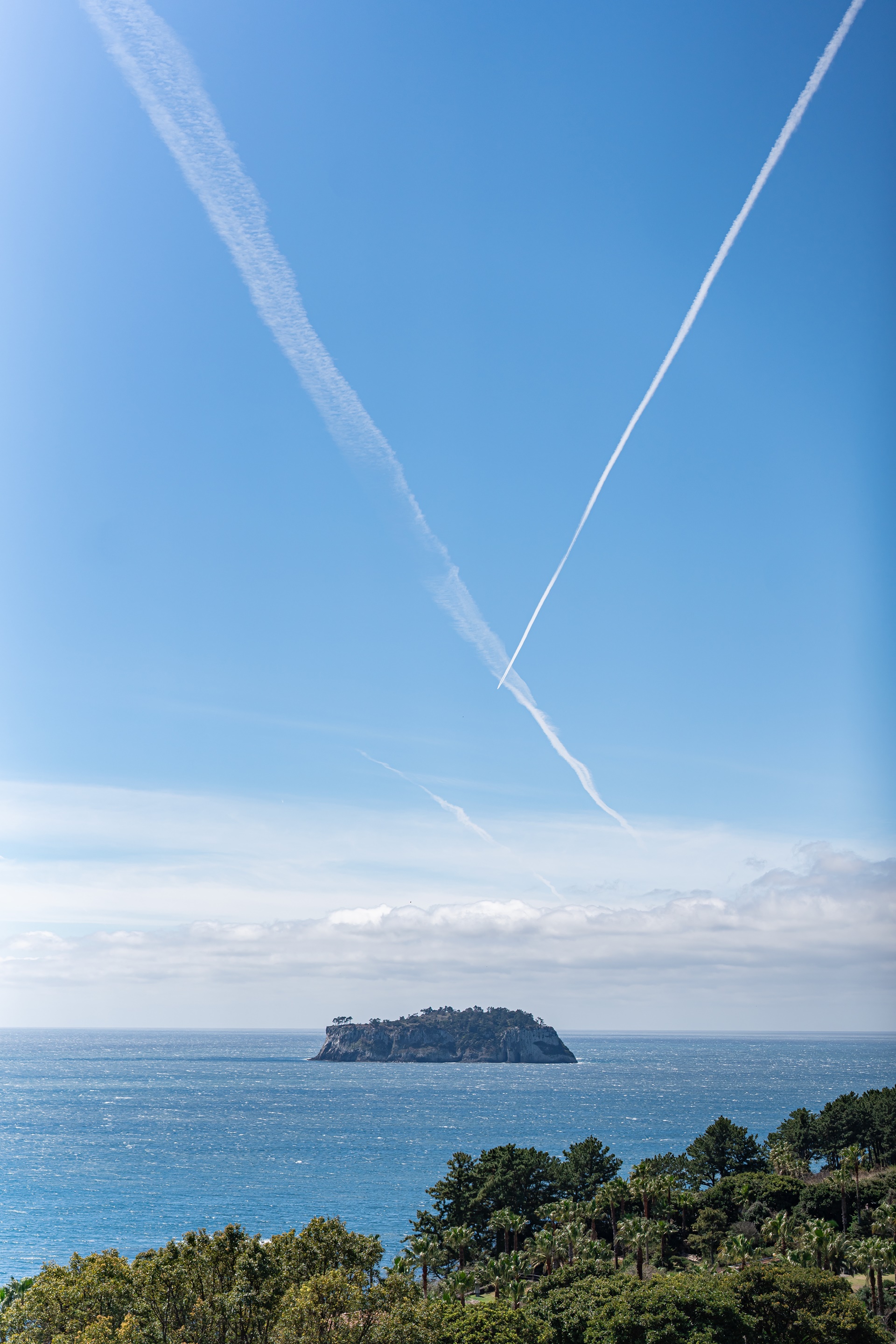 #JW가든 #JW메리어트제주 #댄싱두루미 #더플라잉호그 #아일랜드키친 #유채꽃 #제주사진 #제주여행 #제주유채꽃 #제주호텔