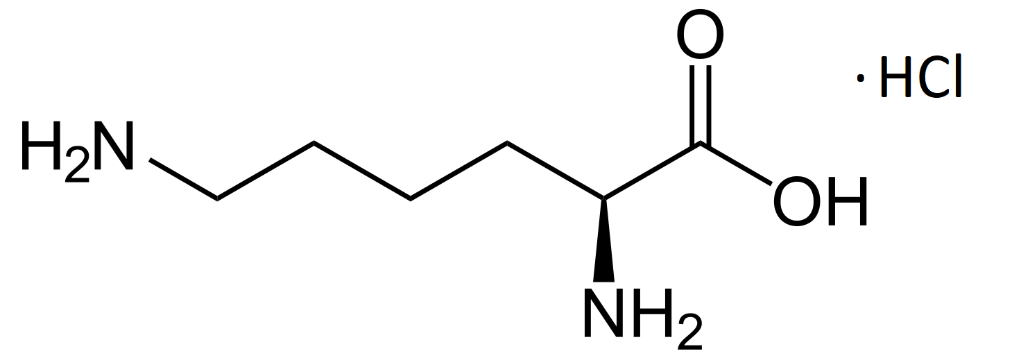 라이신의 약학적 효능과 부작용 - 면역력 강화부터 신장 독성 위험까지 알아보기