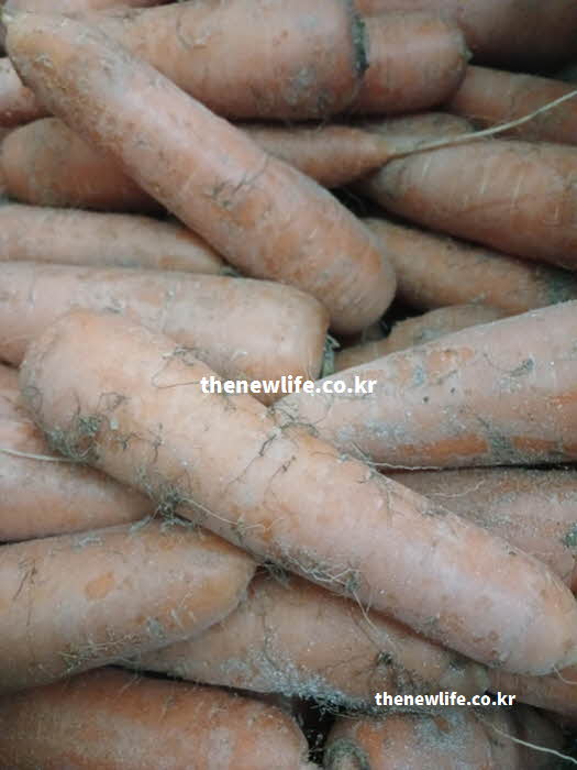 당근 효능 나트륨 배출을 촉진하는 칼륨