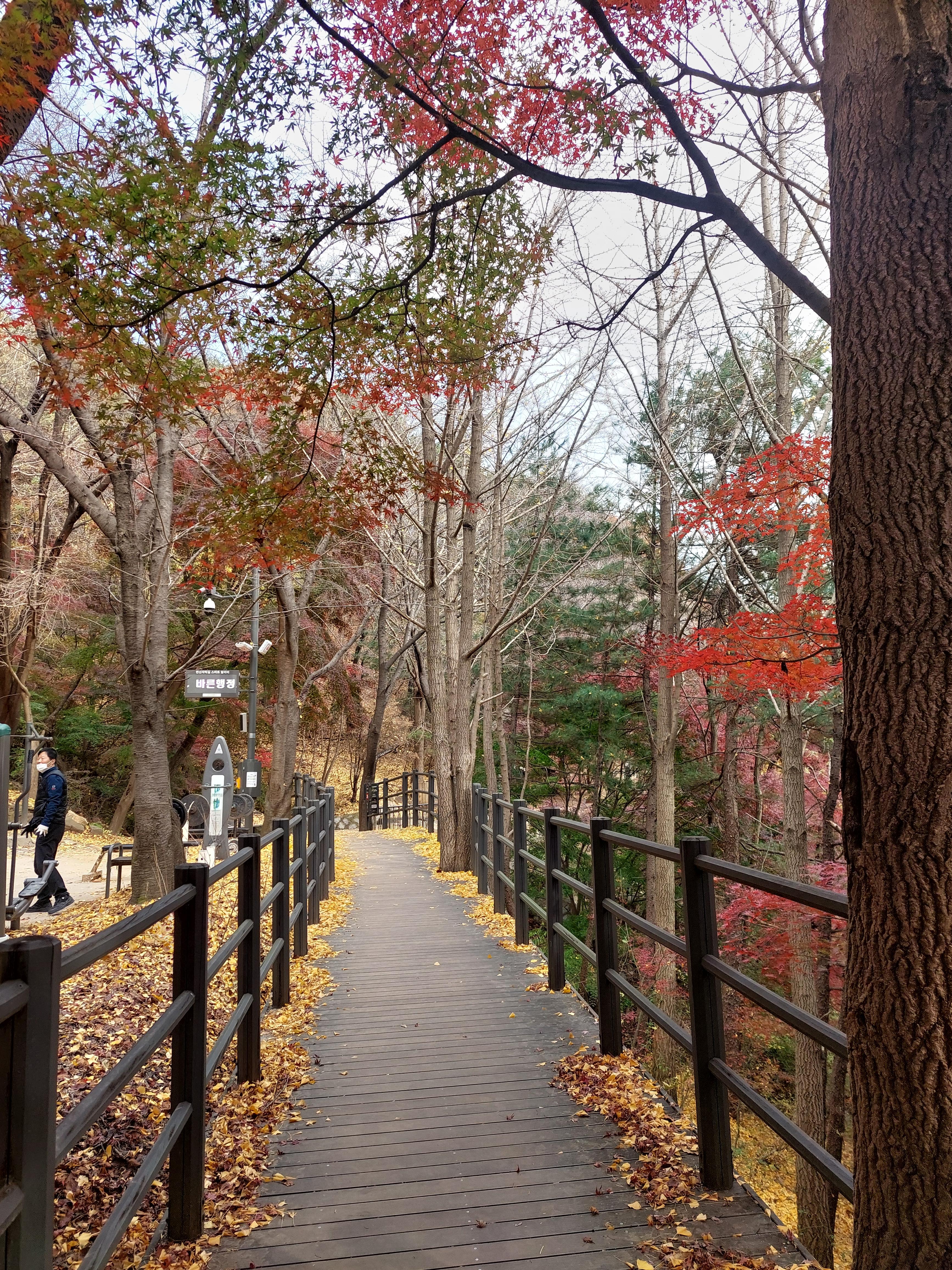 안산