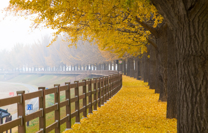 엄마와 함께하는 오산 한식, 공원, 휴식 사진