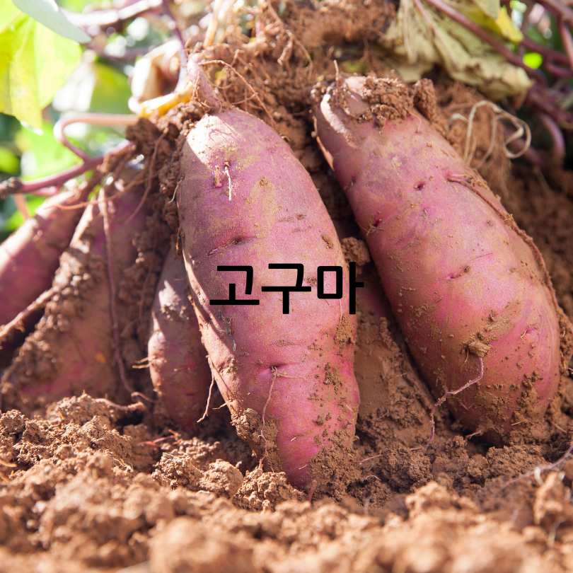 췌장에 좋은 음식