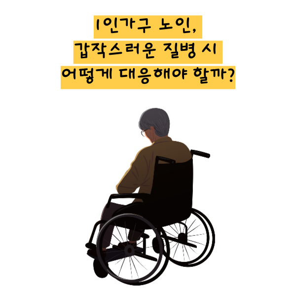 1인가구 노후설계, 노인 응급상황 대응, 1인가구 질병 대비, 노후 건강관리, 독거노인 안전, 응급의료체계, 노후 경제준비, 1인가구 생활관리
