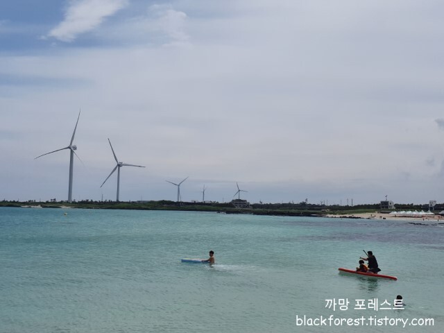 김녕 해수욕장 해변