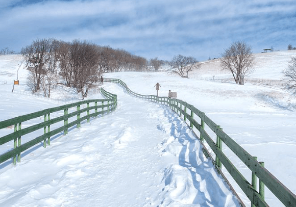 겨울여행 함께 보면 좋을 국내 여행지 추천 best 5