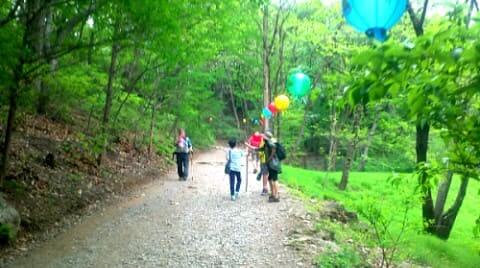 청계산-길마재-등산로