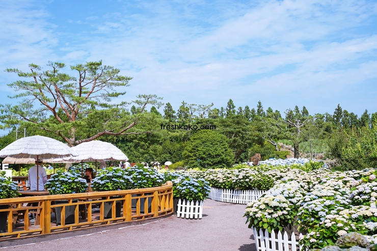 7월 축제 가볼만한곳 10곳