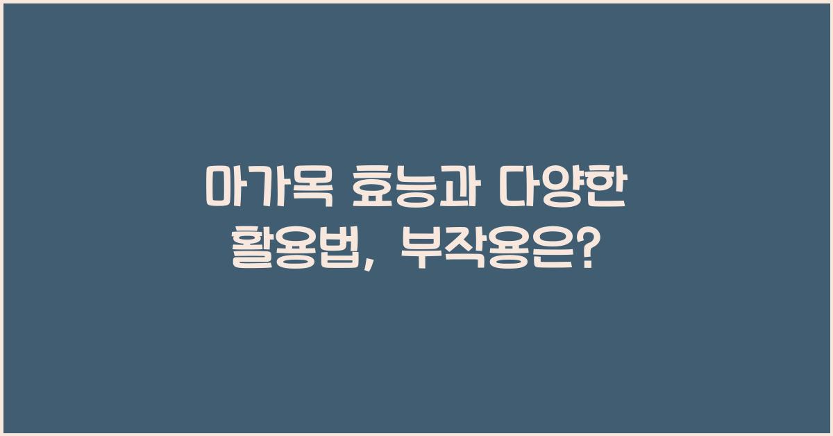 마가목 효능