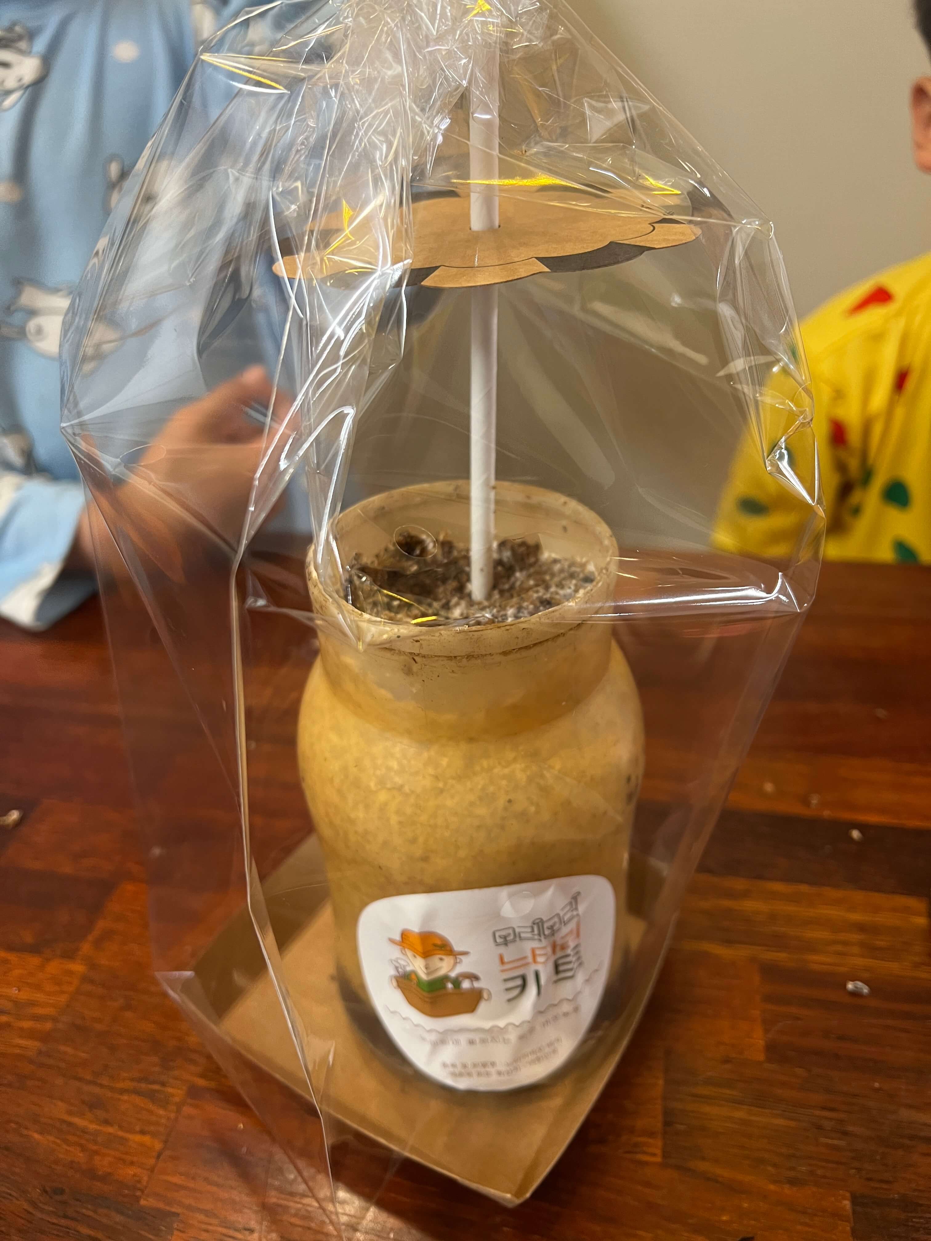 무럭무럭 느타리키트 준비완료