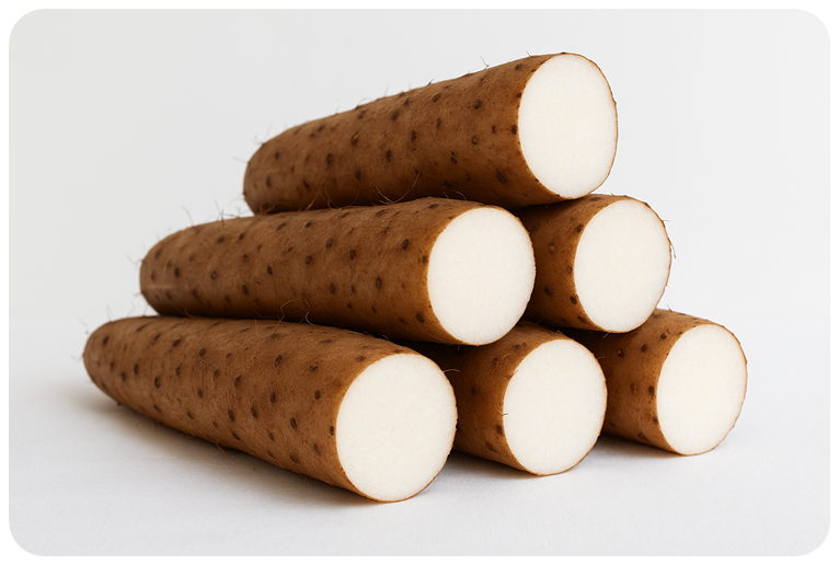 원기 회복 효능, 추가 건강 효능