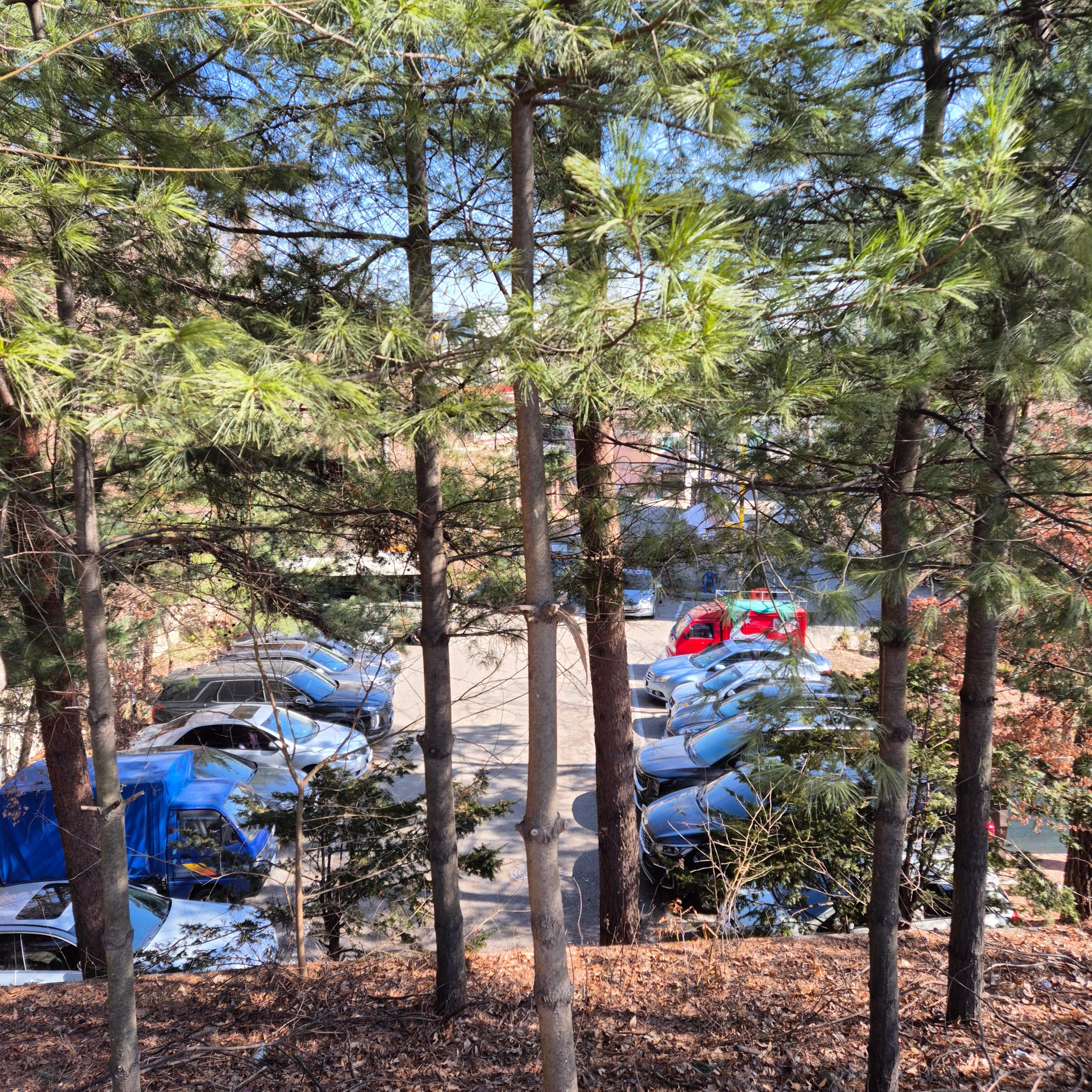 성주산 테니스장