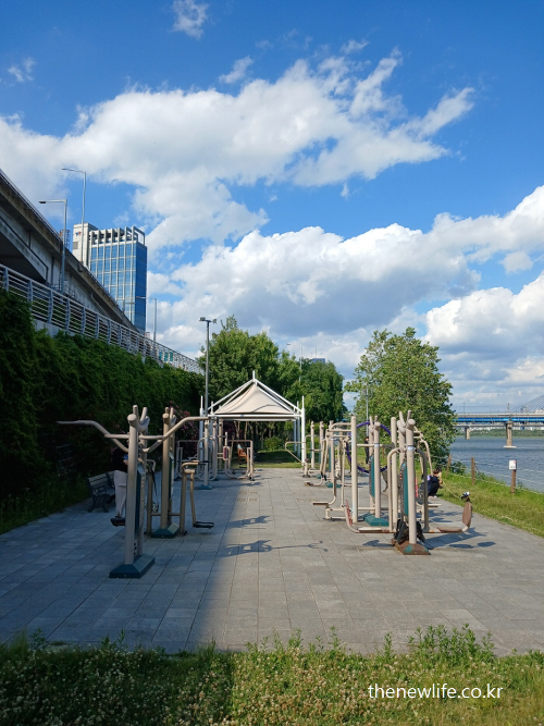 Outdoor fitness equipment by the riverside – symbolizing long-term knee-friendly walking and strength training-한강 강변의 밝은 운동기구 공간 – 걷기와 근력운동을 병행하며 무릎을 보호하는 모습