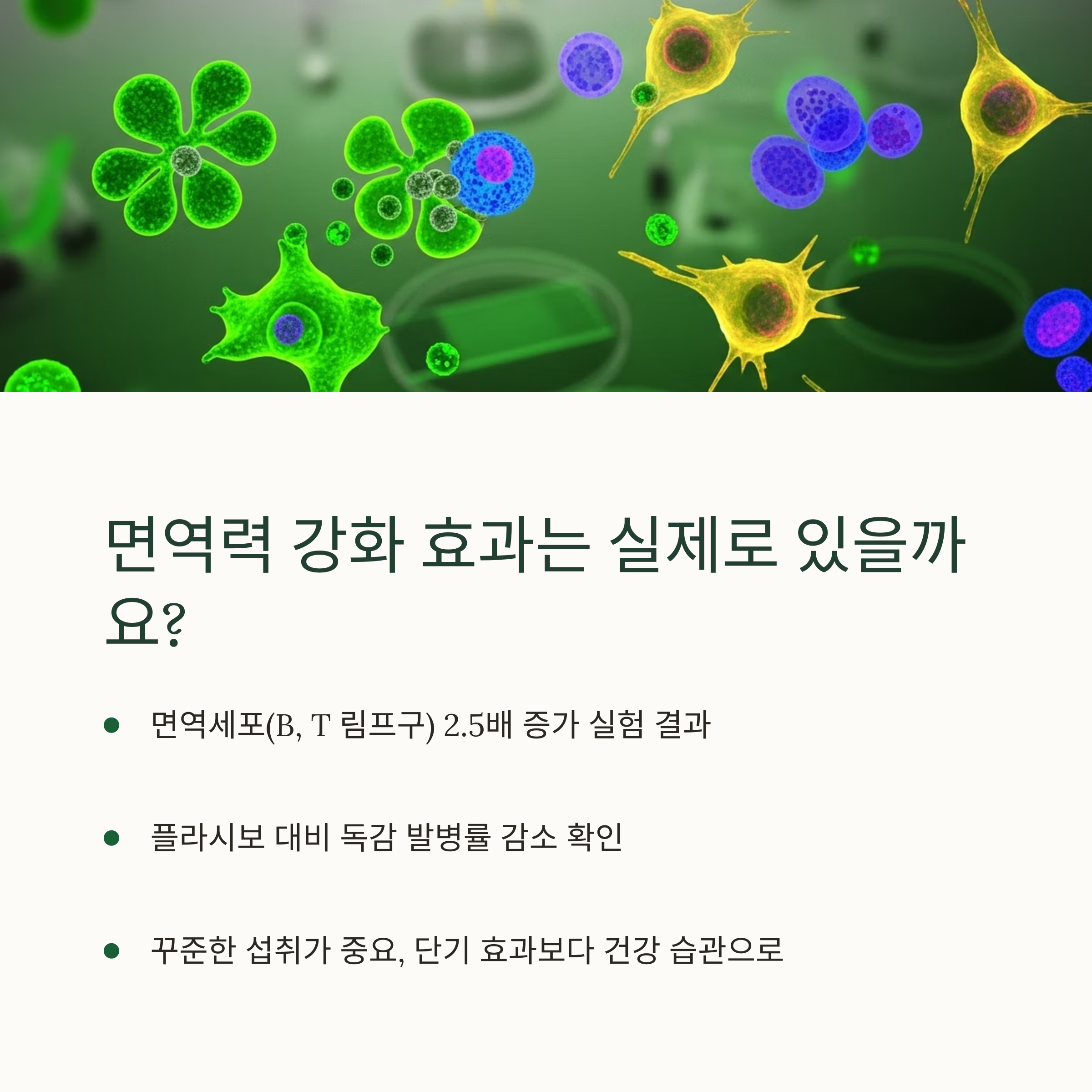면역력 강화 효과는 실제로 있을까요?