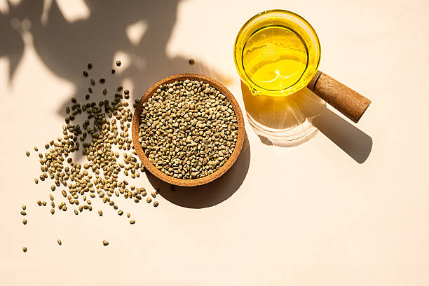 대마 종자유 파는 곳