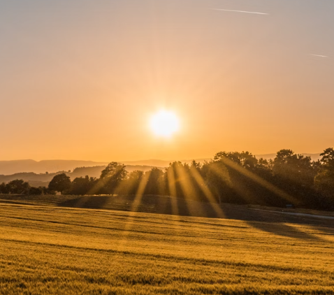 오트밀 효능 : 아침