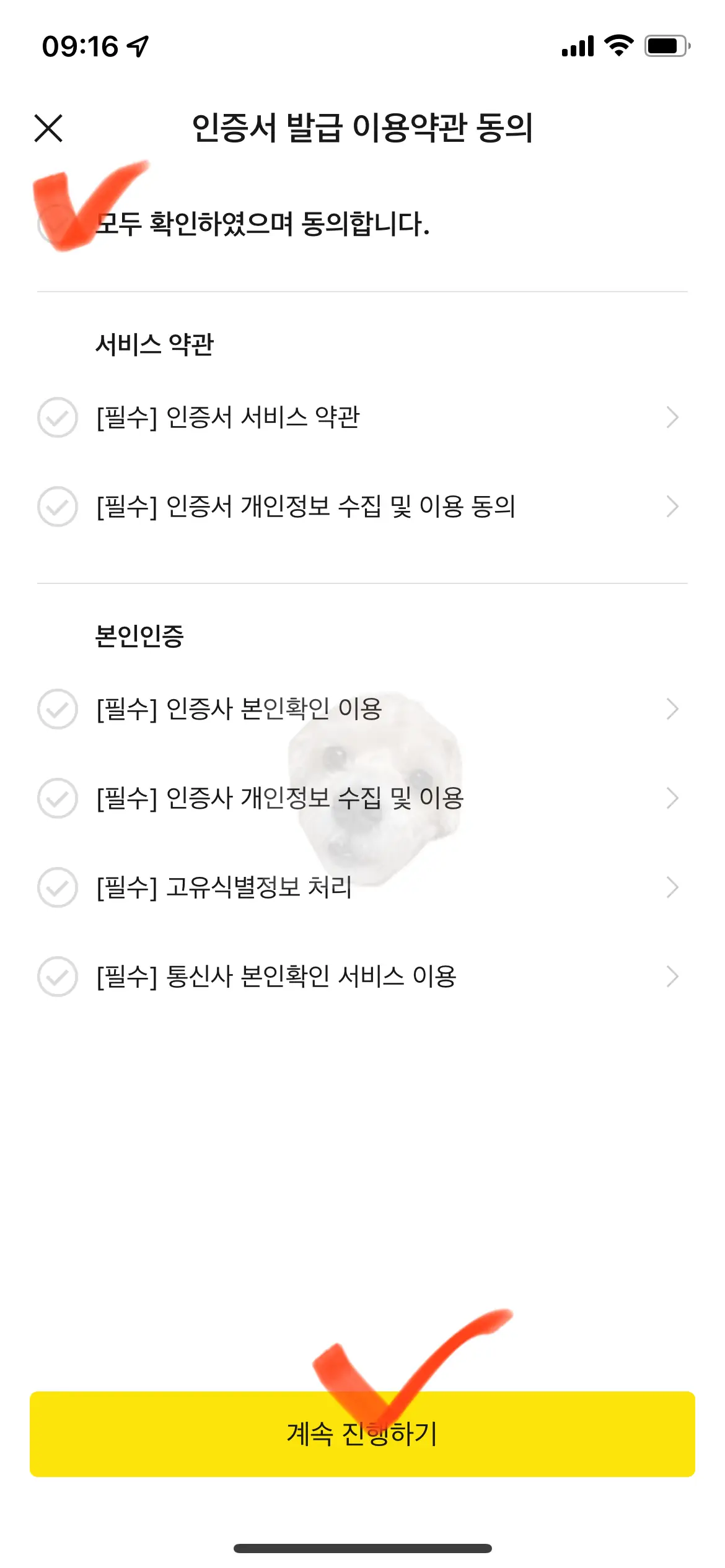 카카오 약관 동의 사진