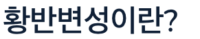 황반변성 이란?