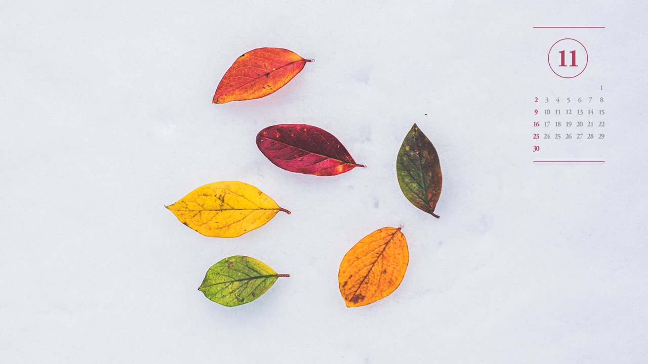 01 눈 위에 나뭇잎 A - 2025년11월 노트북배경화면