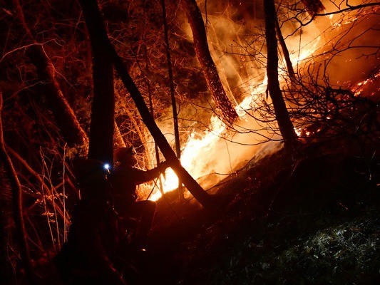산불 현황