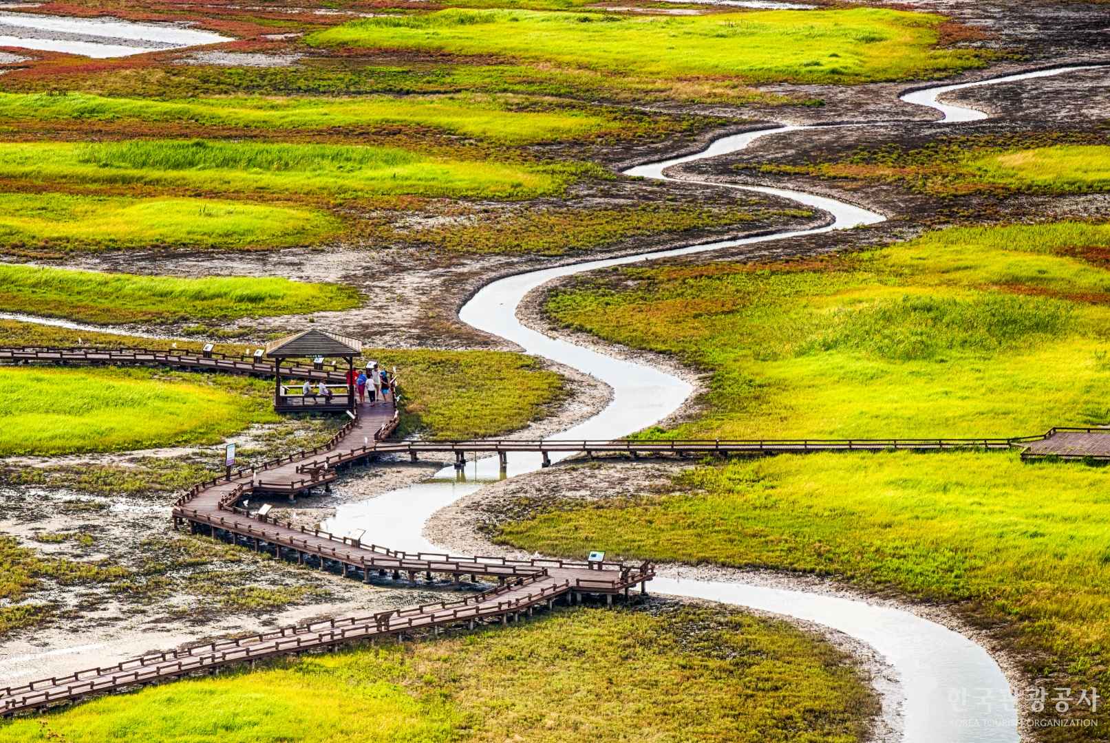 신안 태평염생식물원