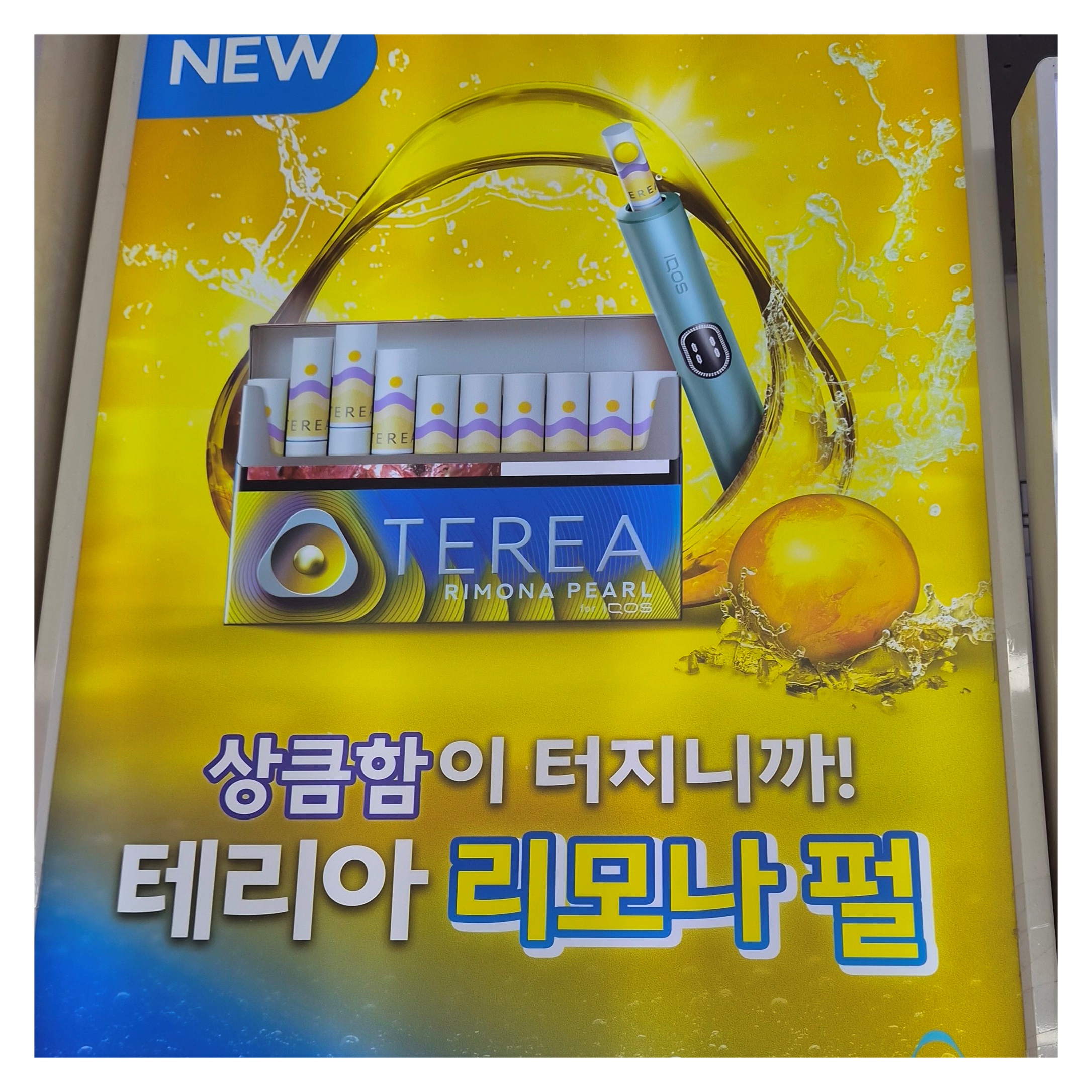 아이코스 테리아 샤인 펄 맛 특징 리뷰 및 신제품 테리아 리모나 펄 출시 정보