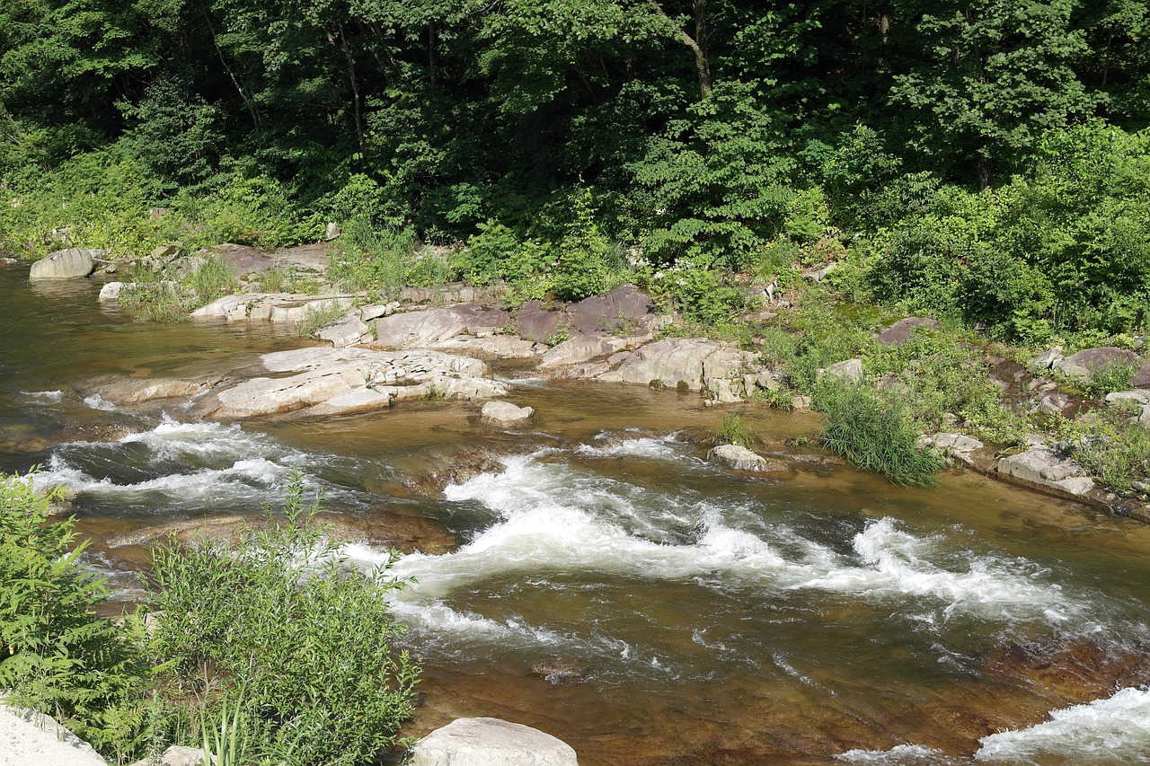 얕게 흐르는 계곡