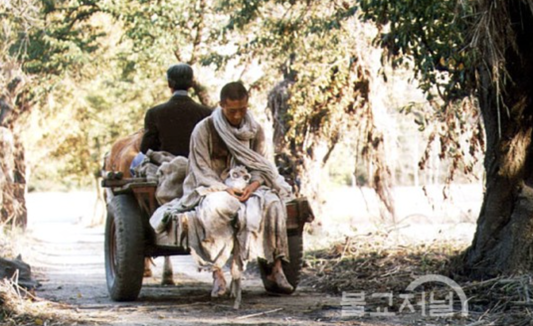 배우 박신양 유리