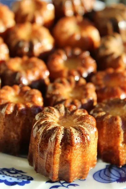 우리나라 특산식물 댕강나무와 댕강나무 꽃말 꽃댕강나무_8