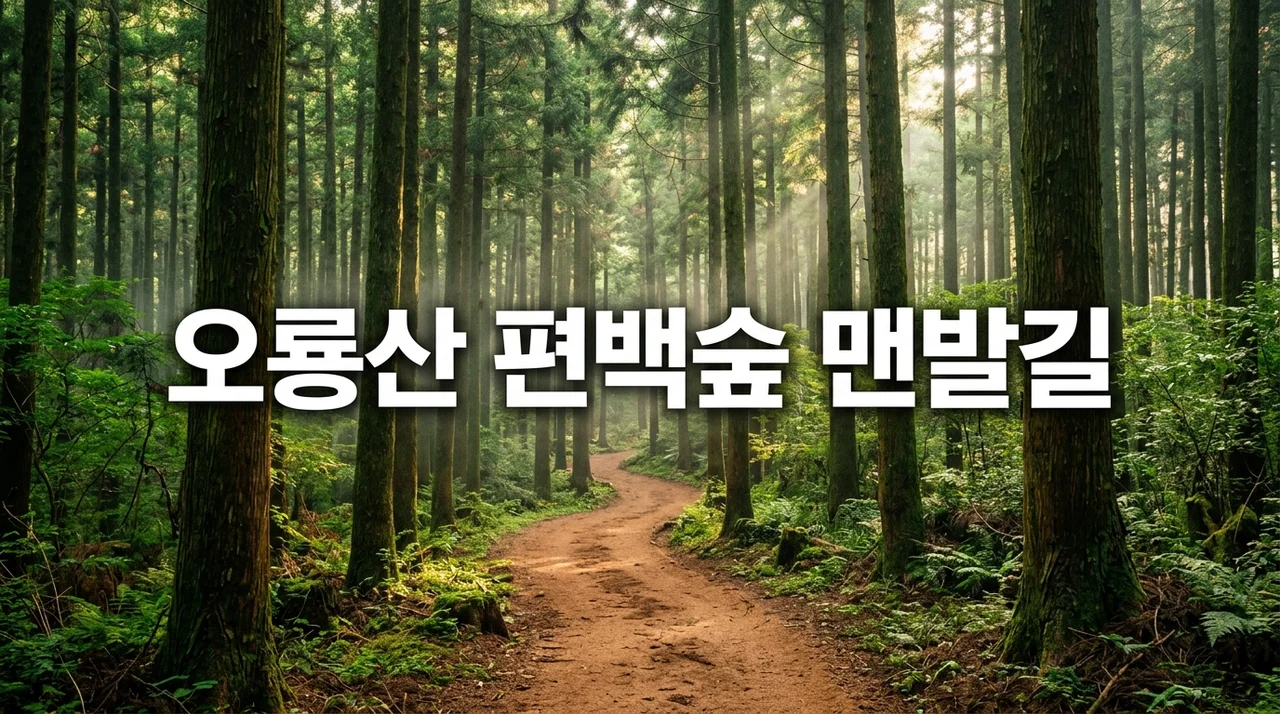 무안 오룡산 편백숲 맨발길 750m: 힐링과 건강을 위한 완벽 가이드
