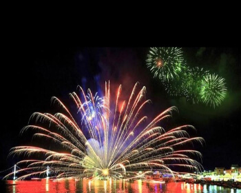 고흥 유자 축제_8