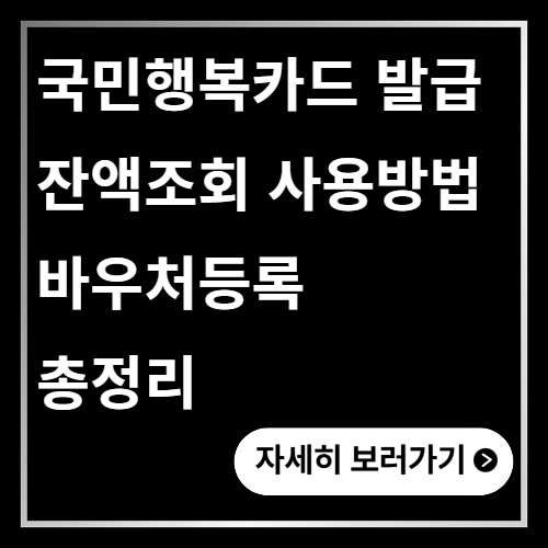 국민행복카드 발급 총정리 잔액조회 바우처등록 사용방법까지