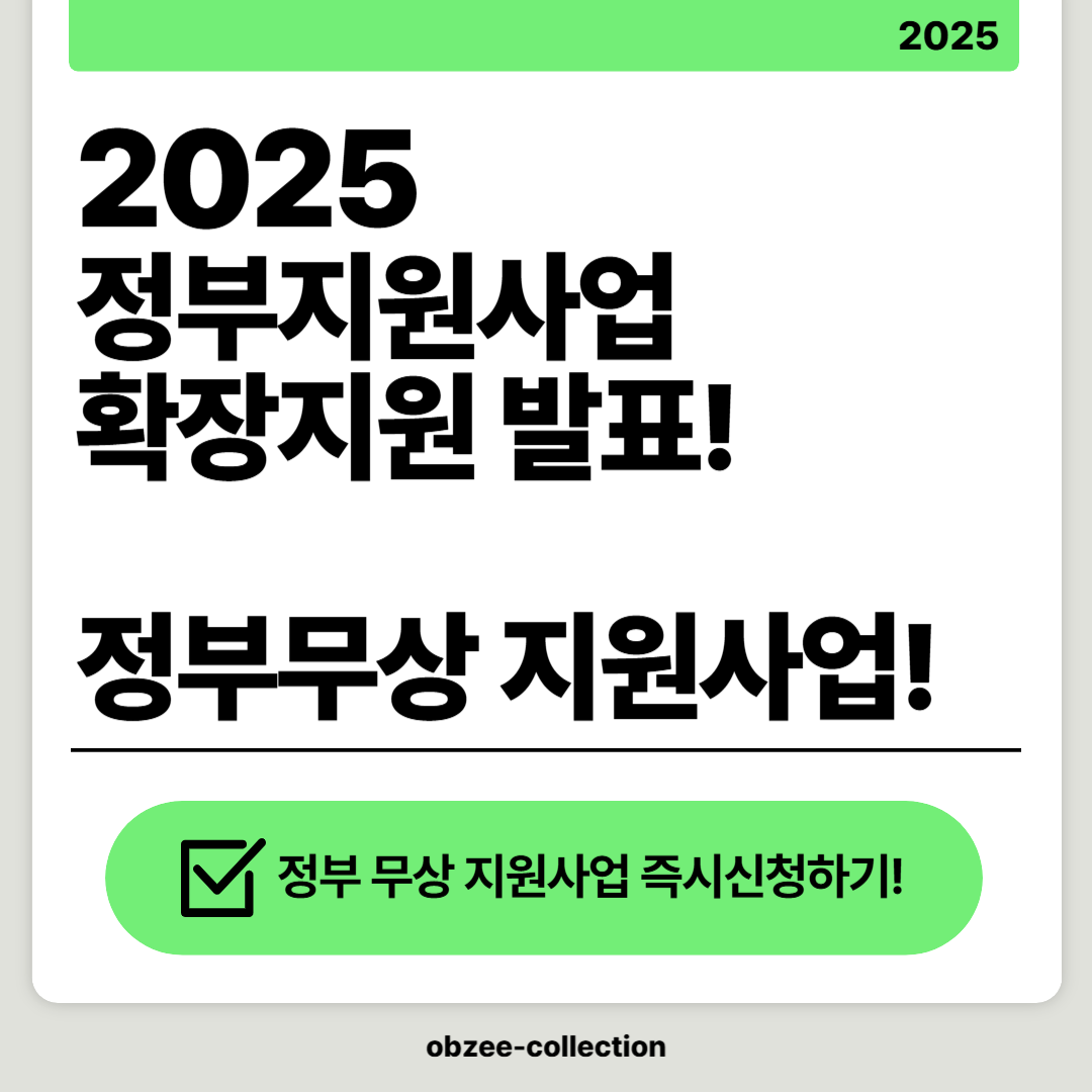 2025 모르면 손해 정부지원사업 확장지원 발표! 다양한 지원사업 소개 및 컨설팅!