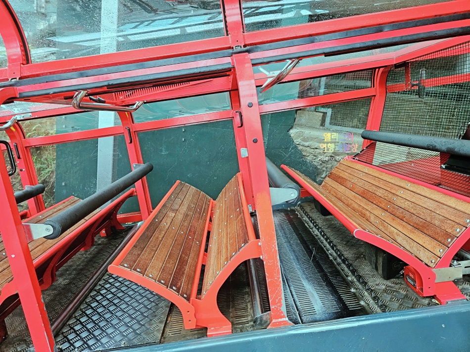 시드니 근교 블루마운틴 투어 가격 솔직 후기 + 시드니 동물원 일일투어