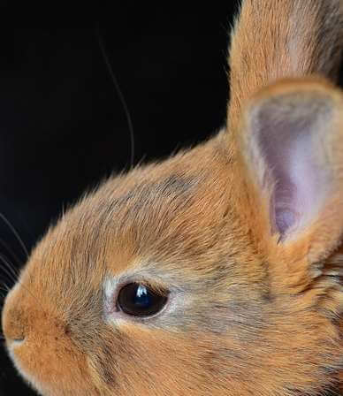 갑자기 귀에서 삐소리 나는 이유