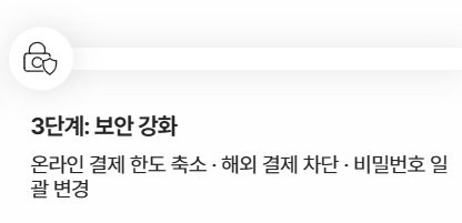 바움피엔에스 결제내역