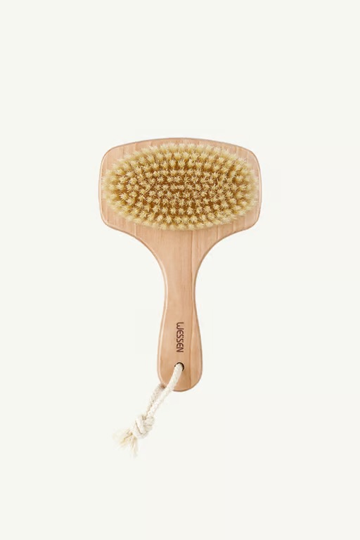 바디브러쉬 고르는법 모질 비교 돈모 합성모