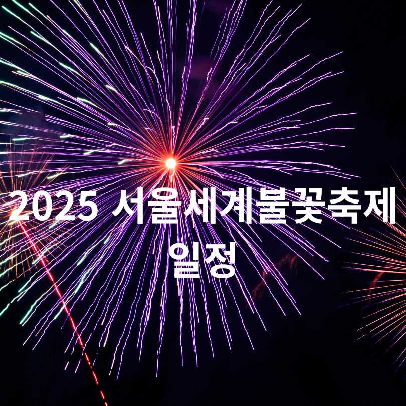 2025 여의도 불꽃축제 명당 & 준비물 총정리
