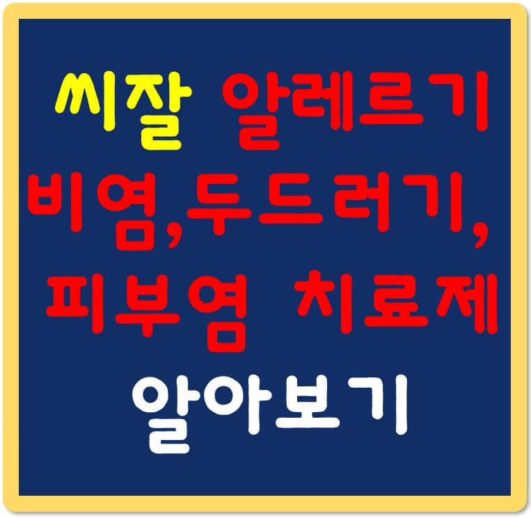 씨잘-알레르기비염-두드러기-피부염치료제-섬네일