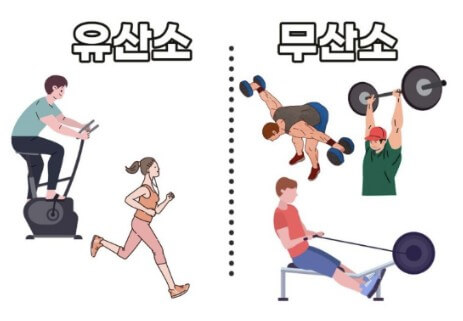 유산소, 무산소 운동
