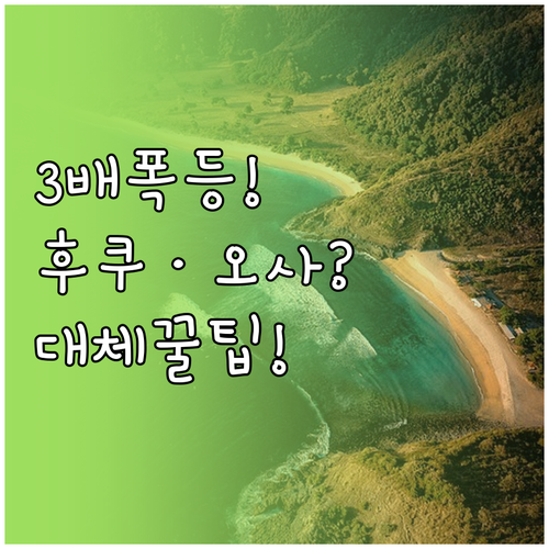 유류할증료 3배 인상 후쿠오카 오사카..