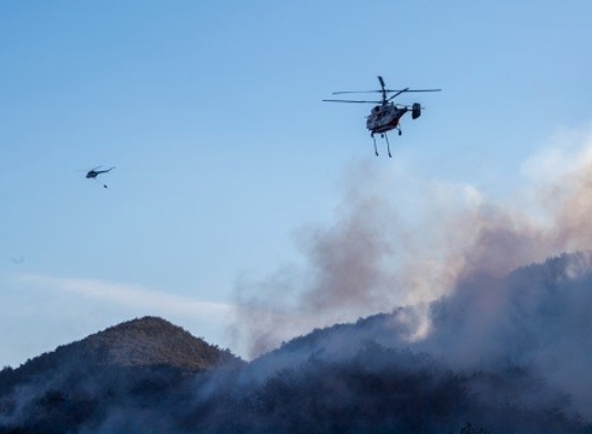 경북 산불 재난지원금