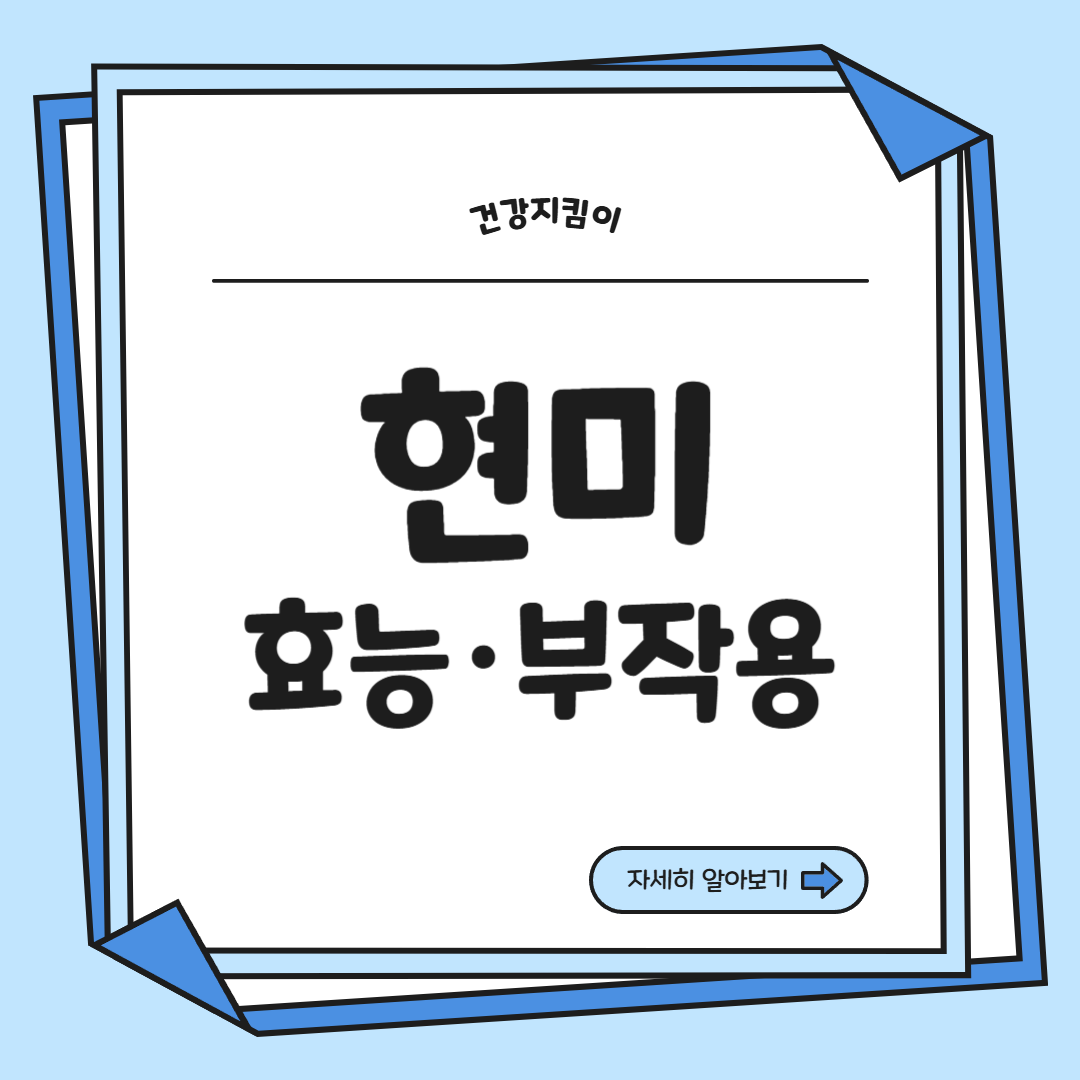 현미 효능과 부작용 영양성분 칼로리 다이어트