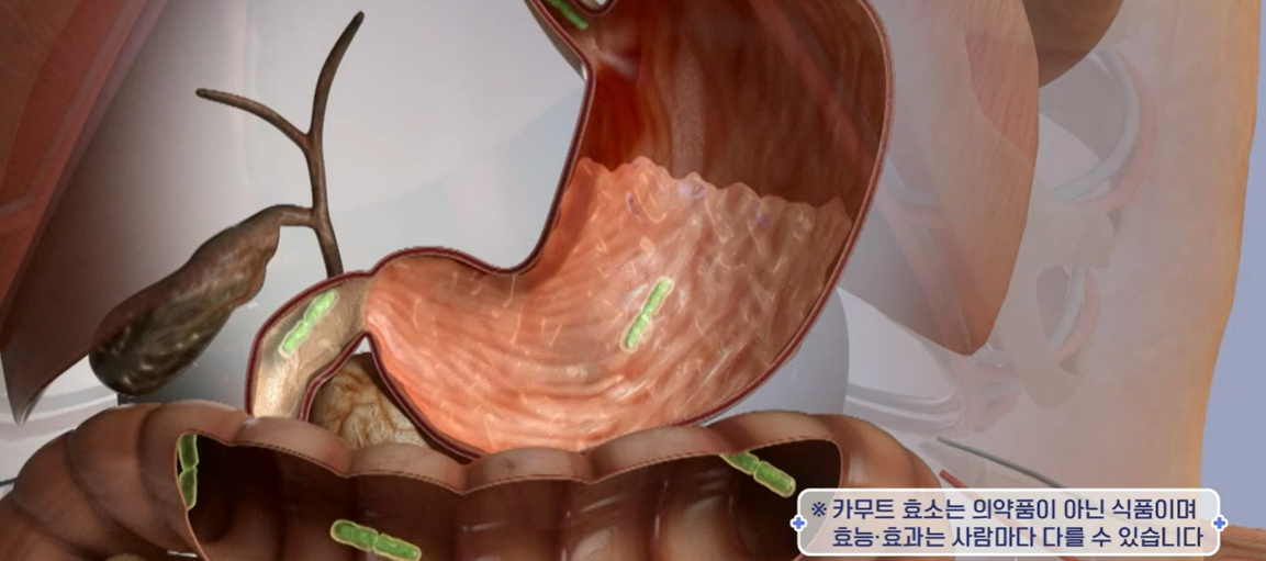 카무트 효소