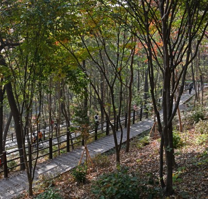 인천 갈만한곳 당일치기 여행 (SNS 인천 핫스팟) - 계양산 무장애숲길&#44; 인천대공원&#44; 드림파크 야생화 공원&#44; 청라 커널웨이&#44; 원적산공원&#44; 강화나들길(19코스 석모도 상주 해안길)&#44; 무의바다누리길&#44; 월미바다열차