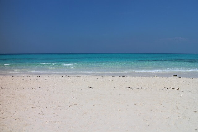 챗지피티 사주 프롬프트