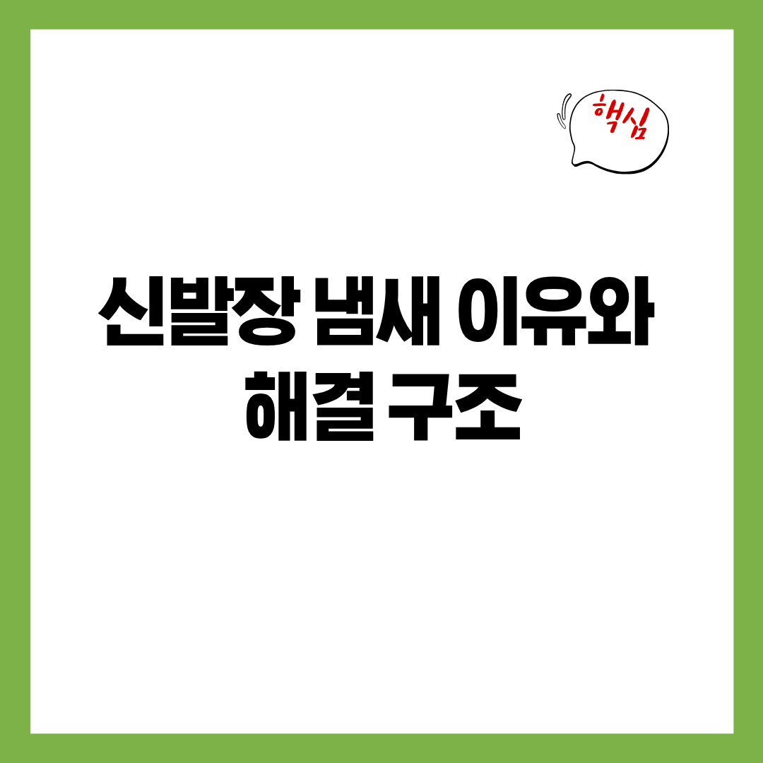 신발장이 냄새를 계속 품고 있는 이유와 해결 구조